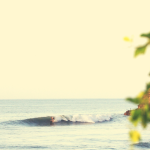 JORNADAS LONGBOARD PANAMA