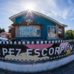 carrousel jornadas pez 5